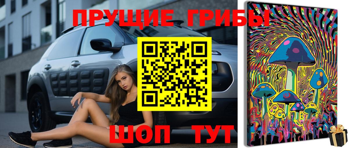 Галлюциногенные грибы Psilocybe Коркино
